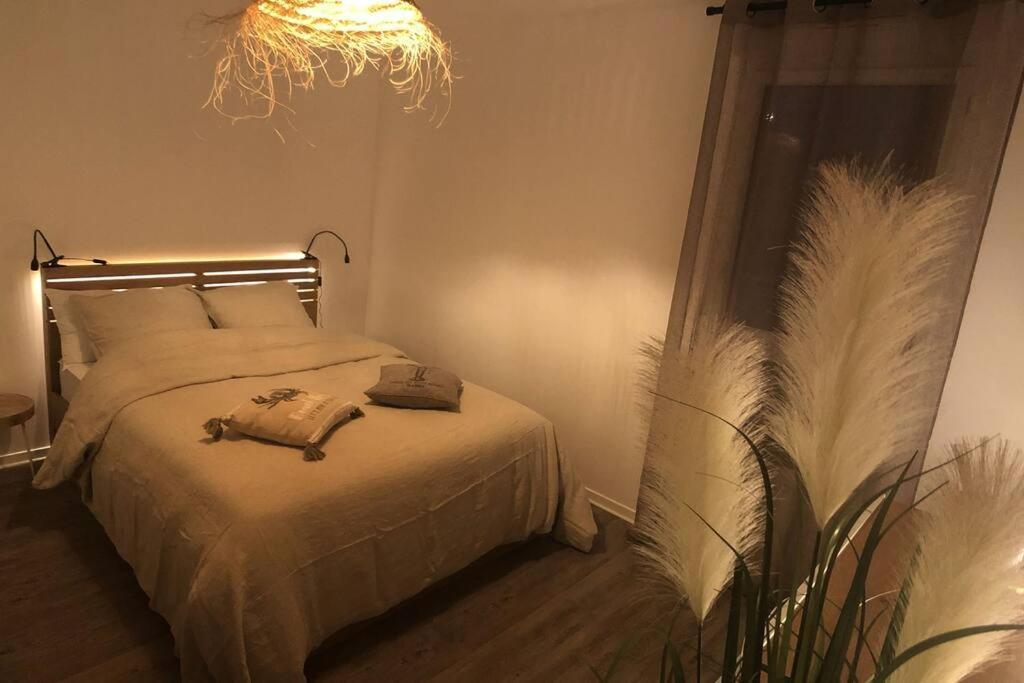 Appartement, Confort, Parking, Terrasse 迪南 外观 照片